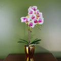 48cm Harlequin Orchid Artificial Pink/Gold Pot - Realistic & Elegant Faux Plant